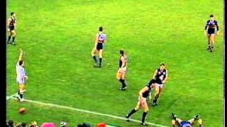 Round 11 1991 Footscray v Carlton highlights [upl. by Calendra52]