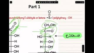 Metabolism of carbohydrates part 1 [upl. by Refotsirhc]