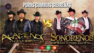 Los Alameños de La Sierra y Sonoreños Del Compa Tico  30 Mejores Canciones  El Baile de Año [upl. by Naicad492]