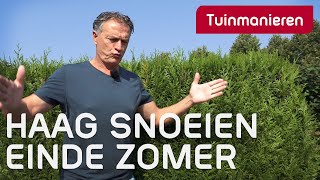 Bladhoudende hagen snoeien einde zomer  Tuinmanieren [upl. by Poul]