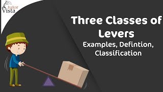 Three Classes of Levers  Examples Defintion Classification [upl. by Hecker]