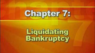 Bankruptcy Basics  Part 2 Types of Bankruptcy [upl. by Ydarb722]