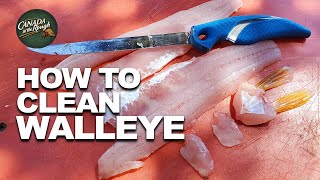 How to Clean Walleye Fast Boneless Method for Walleye Fillet  Rough Facts  Catch Clean Cook [upl. by Colston292]