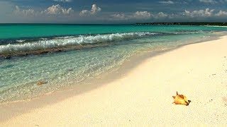 Relaxing Music with Gentle Ocean Sounds Soothing Waves and Peaceful Music [upl. by Neilson793]