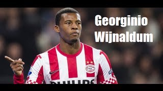 Georginio Wijnaldum ►Goals and Skills  PSV Diamond [upl. by Yraht]