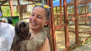 Interaction with Monkeys and Sloth  Cruise  Roatán [upl. by Malcah]