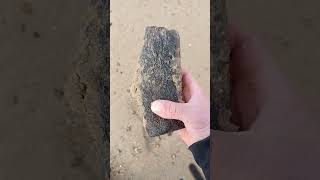 Huge Fossil Find Beachcombing UK beachcombing fossil [upl. by Haroldson]