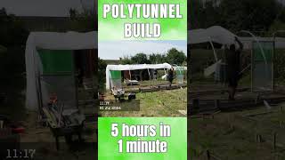 BUILDING THE POLYTUNNEL FROM START TO FINISH short [upl. by Clerissa]