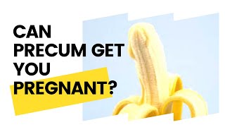 CAN PRECUM GET YOU PREGNANT  How To Avoid getting pregnant by mistake [upl. by Droffilc150]