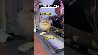 我不管一定是猫咪主动的心思全写在脸上的猫 小猫咪能有什么坏心眼 养猫人的精神状态 [upl. by Hughie]