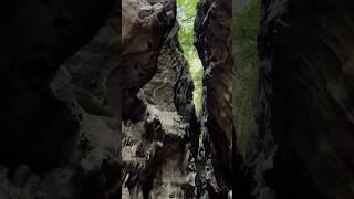 Robbers cave Dehradun ⛰️🛖🏕️ shorts travel india cave dehradun [upl. by Fauman]