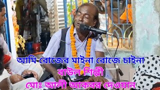 আমি রোজের মাইনা রোজে চাইনা । কদম আলী মস্তান এর গান । বাউল শিল্পী আলী আকবর দেওয়ান । Sp Doyal Media [upl. by Mij]