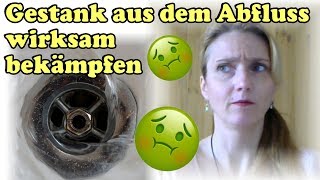 Abfluss stinkt Was hilft als Alternative zum Abflussreiniger Lifehack Anleitung Tutorial Howto [upl. by Monteria]