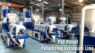 PVC Pelletizing Extrusion Line ｜Twin Screw [upl. by Ydor]