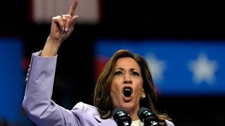 TV host slams the Democrats after spending over 1 billion on Kamala Harris’ failed campaign [upl. by Ydniahs]