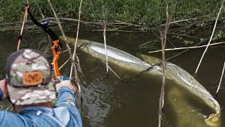 Bowfishing for Giant Gator Gar We shoot a 7 foot RIVER MONSTER [upl. by Cathleen485]