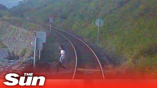 Dog walker has lucky escape after following pet across railway line Shorts [upl. by Enillebyam263]