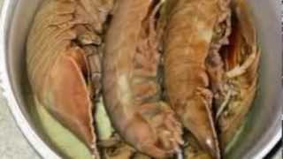 Japan Aquarium To Serve Fried Giant Isopods For A Limited Time [upl. by Eilhsa]