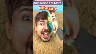 Can You Tell Which is Cake or Fake 🎂🤯  Insane Illusion Challenge shorts trending funny [upl. by Otilia98]