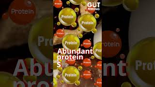 Food Vs Powder Which Is The Best Source Of Protein [upl. by Ariana562]