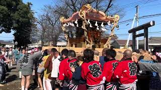 群馬県伊勢崎市波志江愛宕神社67年ぶりの神輿渡御2024113 [upl. by Fancy]