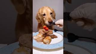 Dog Eating Food🐶🦴🌭 Asmr Dog Asmr Food Food Testing Dog Eating shorts [upl. by Allisirp]