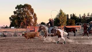 WESTON HIP 244 CLOVIS HORSE SALE AUG 1617 Levelland Texas [upl. by Ydderf306]