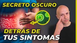 ELIMINA LA INFLAMACIÓN INTESTINAL Y EVITA LA PERMEABILIDAD DE TU INTESTINO CON ESTOS SECRETOS [upl. by Roosnam578]