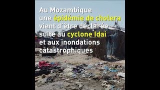 Mozambique  épidémie de choléra suite au cyclone Idai [upl. by Aiuqcaj]