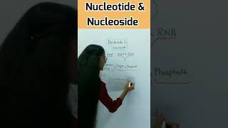 Difference between Nucleotide and Nucleoside  apnasapnajrf [upl. by Asor]