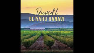 Duvidl  ELIYAHU HANAVI אליהו הנביא [upl. by Tirma]