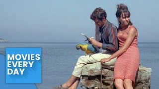 Pierrot Le Fou  Movie Review  Analysis [upl. by Deaner]