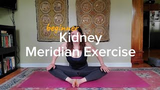 Beginner Kidney Meridian Exercise  Infinity Flexibility Integrative Bodywork [upl. by Ssepmet]