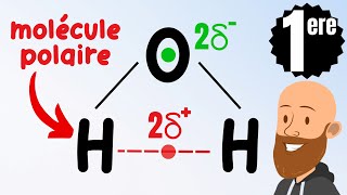 Polarité dune molécule  polaire ou apolaire Cours de première  physique chimie [upl. by Ylatfen610]