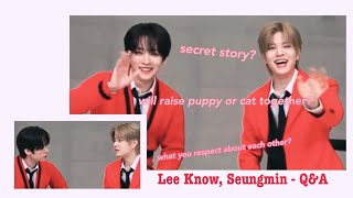 Lee Know and Seungmin being domestic couple  QampA Eng sub [upl. by Mogerly]