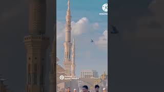 Aap fakhre Azam aap Shane Arab myshort islamicvideo laik [upl. by Ayiotal]