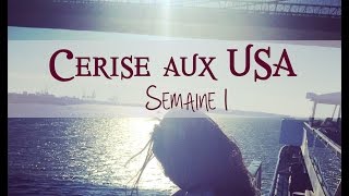 Cerise aux USA  N°1  Austin NewYork amp New Year   CeriseDaily 🍒 [upl. by Eniagrom]