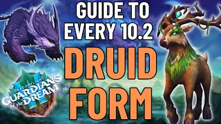 Every New Druid Form in Patch 102 And How to Get Them  World of Warcraft  Dragonflight [upl. by Notxam]