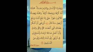 Quran short story Quran recitation nature [upl. by Mohl140]