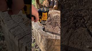 DeWalt DCF845 XR impact driver driving a 9 inch log screw dewalttough [upl. by Neehar]