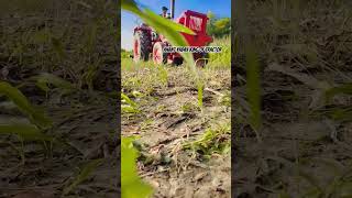 Anant yadav king of tractor anantyadav9620 tractorloverz [upl. by Ysnap734]