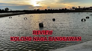 REVIEW KOLONG2 KOLAM NAGABANGSAWAN di AFPROW 2 bagan pasir tg karang selangor wakjas grouper [upl. by Atimad283]