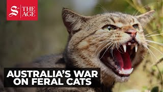 Feral cat cull in Australia [upl. by Nellaf286]