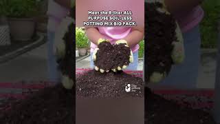 Soilless Potting Mix Philippines Best for All Plants 2024 shorts [upl. by Yumuk]