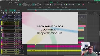 ColourMeInsam  Reaper DAW Session BTS [upl. by Dacy]