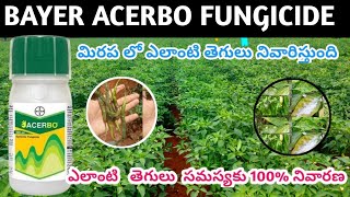 BAYER ACERCBO fungicide మిరప ఏ విధంగా పనిచేస్తుంది తెలుసుకోండి acerbo [upl. by Mansfield370]