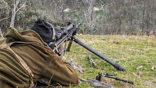 Deer Hunting Australia With A 338 LAPUA amp 300 PRC [upl. by Katee]