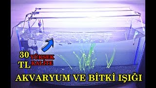 LED Akvaryum Aydınlatması Yapımı  Yüksek Kalite  Düşük Maliyet [upl. by Nivrae]