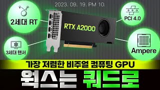 웍스는 쿼드로 RTX A2000 특집 방송with 컴집 [upl. by Gilba11]