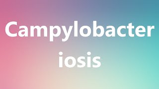 Campylobacteriosis  Medical Definition and Pronunciation [upl. by Nitsud]